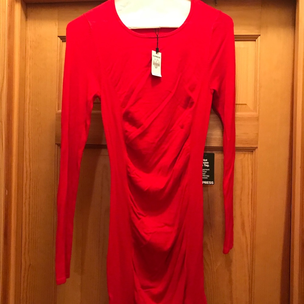 Express Women’s Ruched side Sweater dress
